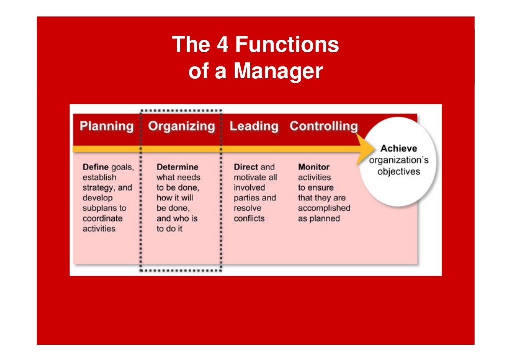 The Work Systems Designer