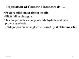 09/07/2025 6
Regulation of Glucose Homeostasis…….
•Postprandial state: rise in insulin
•Illicit fall in glucagon.
• Insulin promotes storage of carbohydrate and fat &
protein synthesis
•Major postprandial glucose is used by skeletal muscles
 