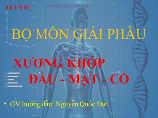 Viet
NT
BỘ MÔN GIẢI PHẪU
XƯƠNG KHỚP
ĐẦU - MẶT - CỔ
• GV hướng dẫn: Nguyễn Quốc Đạt
Tổ 1 Y1C
 