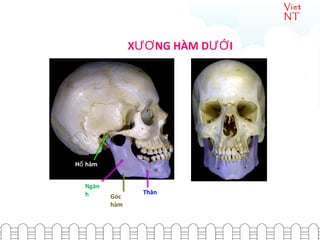 Mỏi hàm đau tai buổi sáng coi chừng bị rối loạn thái dương hàm  VnExpress  Sức khỏe