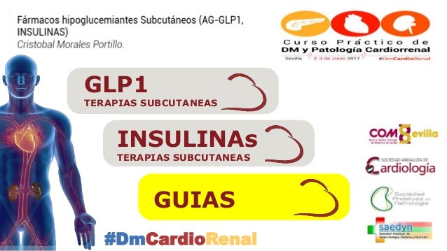 Terapias subcutáneas en la Diabetes (GLP1-Insulinas) Terapias subcutáneas en la Diabetes (GLP1-Insulinas)