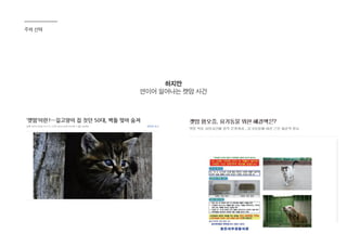 주제 선택
하지만
연이어 일어나는 캣맘 사건
 