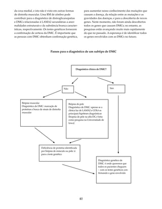 40 
da coxa medial, e isto não é visto em outras formas 
de distrofia muscular. Uma RM de cérebro pode 
contribuir para o diagnóstico de distroglicanopatias 
e DMCs relacionadas à LAMA2 secundárias a anor-malidades 
estruturais e da substância branca caracter-ísticas, 
respectivamente. Os testes genéticos fornecem 
a confirmação de certeza da DMC. É importante que 
as pessoas com DMC obtenham confirmação genética, 
para aumentar nosso conhecimento das mutações que 
causam a doença, da relação entre as mutações e as 
gravidades das doenças, e para a descoberta de novos 
genes. Neste momento, não foram ainda descobertos 
todos os genes que causam DMCs; no entanto, as 
pesquisas estão avançando muito mais rapidamente 
do que no passado. A esperança é de identificar todos 
os genes envolvidos com as DMCs no futuro. 
Passos para o diagnóstico de um subtipo de DMC 
Diagnóstico clínico de DMC? 
Não Sim 
Biópsia muscular 
Diagnóstico de DMC: marcação de 
proteínas e busca de sinais de distrofia 
muscular 
Biópsia de pele 
Diagnóstico de DMC: apenas se a 
clínica faz de LAMA2 e COL6 as 
principais hipóteses diagnósticas 
(biopsia de pele na alfa-DG é feita 
como pesquisa na Universidade de 
Iowa) 
Deficiência de proteína identificada 
por biópsia de músculo ou pele: ir 
para o teste genético 
Diagnóstico genético de 
DMC: é onde queremos que 
todos os pacientes cheguem 
- com os testes genéticos con-firmando 
o gene envolvido 
 