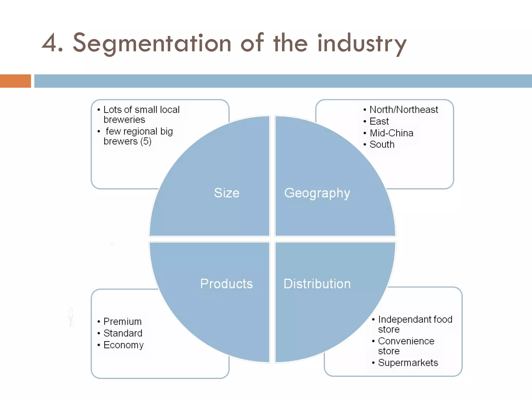 4. Segmentation of the industry 