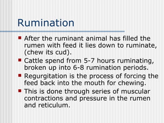 Rumination In Animals Dm ch. 2 digestive sys a | PPT
