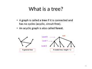 Comprehensive Introduction to Graph Theory and Its Applications in ...