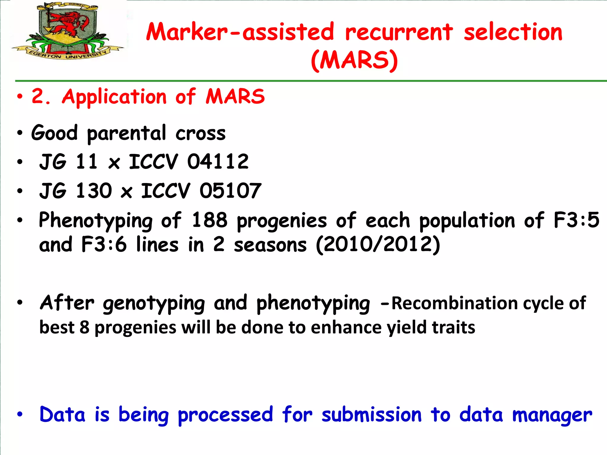 Marker-assisted recurrent selection
                            (MARS)
• 2. Application of MARS
•   Good parental cross
•    JG 11 x ICCV 04112
•    JG 130 x ICCV 05107
•    Phenotyping of 188 progenies of each population of F3:5
     and F3:6 lines in 2 seasons (2010/2012)

• After genotyping and phenotyping -Recombination cycle of
  best 8 progenies will be done to enhance yield traits



• Data is being processed for submission to data manager
 
