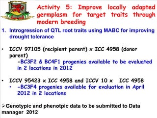 Activity 5: Improve locally adapted
              germplasm for target traits through
              modern breeding
1. Introgression of QTL root traits using MABC for improving
   drought tolerance

•   ICCV 97105 (recipient parent) x ICC 4958 (donor
    parent)
       -BC3F2 & BC4F1 progenies available to be evaluated
       in 2 locations in 2012

•   ICCV 95423 x ICC 4958 and ICCV 10 x ICC 4958
    • -BC3F4 progenies available for evaluation in April
       2012 in 2 locations

Genotypic and phenotpic data to be submitted to Data
manager 2012
 