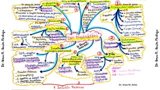 DM Class 2020 2021: Dr Arwa Board concept maps | PDF