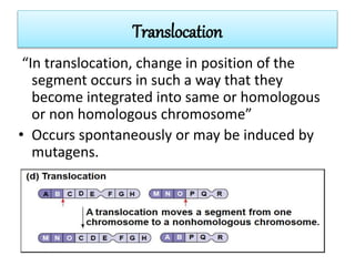Translocation
“In translocation, change in position of the
segment occurs in such a way that they
become integrated into same or homologous
or non homologous chromosome”
• Occurs spontaneously or may be induced by
mutagens.
 