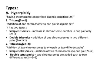 Types :
A. Hyperploidy
“having chromosomes more than disomic condition (2n)”
1. Trisomy(2n+1) :
“Addition of one chromosome to one pair in diploid set”
It has two types :
• Simple trisomics – increase in chromosome number in one pair only
(2n+1)
• Double trisomics – addition of one chromosomes in two different
pairs (2n+1+1)
2. Tetrasomy(2n+2):
“Addition of two chromosomes to one pair or two different pairs”
• Simple tetrasomics – addition of two chromosomes to one pair(2n+2)
• Double tetrasomics – two chromosomes are added each to two
different pairs(2n+2+2)
 