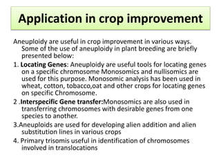 Application in crop improvement
Aneuploidy are useful in crop improvement in various ways.
Some of the use of aneuploidy in plant breeding are briefly
presented below:
1. Locating Genes: Aneuploidy are useful tools for locating genes
on a specific chromosome Monosomics and nullisomics are
used for this purpose. Monosomic analysis has been used in
wheat, cotton, tobacco,oat and other crops for locating genes
on specific Chromosome.
2 .Interspecific Gene transfer:Monosomics are also used in
transferring chromosomes with desirable genes from one
species to another.
3.Aneuploids are used for developing alien addition and alien
substitution lines in various crops
4. Primary trisomis useful in identification of chromosomes
involved in translocations
 