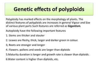 Genetic effects of polyploids
Polyploidy has marked effects on the morphology of plants. The
distinct features of polyploids are increases in general Vigour and Size
of various plant parts Such features are referred as Gigantism.
Autoploidy have the following important features
1. Stems are thicker and stouter
2. Leaves are fleshy, thick, larger and darker green in colour.
3, Roots are stronger and longer
4. Flowers. pollens and seeds are larger than diploids
5.Maturity duration is longer and growth rate is slower than diploids.
6.Water content is higher than diploids, etc.
 