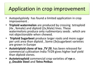 Application in crop improvement
• Autopolyploidy has found a limited application in crop
improvement .
• Triploid watermelon are produced by crossing tetraploid
(4x , female) and diploid (2x,Male) lines. These
watermelons produce only rudimentary seeds . which are
not objectionable when chewed.
• Triploid Sugarbeet produce larger roots and more sugar
per unit area than diploid , Some (3x)sugarbeet varieties
are grown in Europe
• Autotriploid clone of tea ,TV 29, has been released for
commercial cultivation India TV29 gives higher leaf yield
than diploid clones.
• Autotetraploid commercial crop varieties of rye e.
g.,Double Steel and Tetra Petkus
 