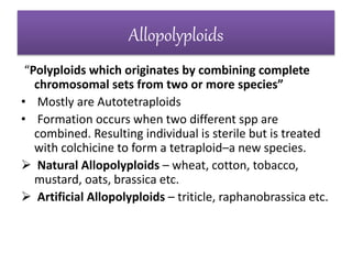 Allopolyploids
“Polyploids which originates by combining complete
chromosomal sets from two or more species”
• Mostly are Autotetraploids
• Formation occurs when two different spp are
combined. Resulting individual is sterile but is treated
with colchicine to form a tetraploid–a new species.
 Natural Allopolyploids – wheat, cotton, tobacco,
mustard, oats, brassica etc.
 Artificial Allopolyploids – triticle, raphanobrassica etc.
 