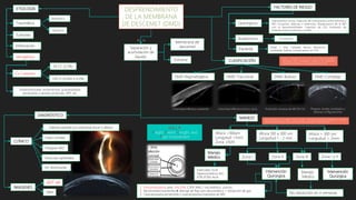 Separación y
acumulación de
líquido
Membrana de
descemet
Estroma
entre
Es la
ETIOLOGÍA
Traumática
Mecánico
Químico
Tumores
Inflamación
Iatrogénico
FACTORES DE RIESGO
EE.CC (2,5%)
FACO (0,044 a 0,5%)
Cx Catarata
Iridotomía,trabe, esclerotomía, queratoplastia
penetrante o lamelar profunda, VPP, etc.
Quirúrgicos
Anatómicos
Paciente
Instrumentos romos; Inserción de instrumentos entre estroma y
MD; Incisiones: oblicuas o anteriores; Manipulacion de la MD
con el facoemulsificador. Inserción de LIO; Instilación de
material entre el estroma y la MD.
CA estrecha
Edad > 65a; Catarata densa; Alteración
endotelial; Edema corneal severo en PO1
DIAGNÓSTICO
Edema epitelial y/o estromal focal o difuso
CLÍNICO
Pliegues MD
Vesículas epiteliales
AV disminuida
Haze corneal
IMAGENES
OCT -SA
UBM
CLASIFICACIÓN
DMD Regmatógena DMD Traccional DMD Bulloso DMD Complejo
Línea hiperreflectiva ondulante Línea hiperreflectiva tensa y recta, Protrusión convexa de MD EN CA Pliegues, bordes enrollados y
diversas configuraciones
MANEJO
Altura <100um
Longutud <1mm
Zona I/II/III
Altura 100 a 300 um
Longuitud 1 - 2 mm
Altura > 300 um
Longuitud > 2mm
Manejo
Médico Zona I Zona II Zona III Zona I y II
Intervención
Quirúrgica
Manejo
Médico
Intervención
Qurúrgica
No resolución en 4 semanas
Esteroides 5v/d
Hiperosmóticos 4/d
ATB (FQN) 4v/d
H E L P
Height, Extent, Length, and
Pupil involvement
1. Descemetopexia (aire, SF6 20%, C3F8 14%) / viscoelástico, suturas…
2. Recidivantes/resistentes drenaje de flujo pre-descemético + reinyeción de gas.
3. Queratoplastia penetrante y queratoplastia endotelial de MD
Kumar, Agarwal, et al. Height-, extent-, length-, and pupil-based (HELP) algorithm to manage
post-phacoemulsification Descemet membrane detachment. September 2015.
Jacob S, Agarwal A, et al. A new clinico-tomographic
classification and management algorithm for Descemet's
membrane detachment. Cont Lens Anterior Eye. 2015
 