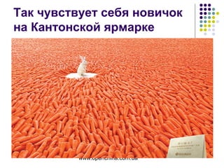 www.openchina.com.ua
Так чувствует себя новичок
на Кантонской ярмарке
 