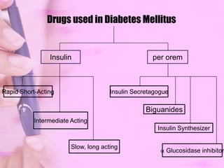 cells – insulin