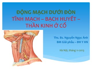 ĐỘNG MẠCH DƯỚI ĐÒN
TĨNH MẠCH – BẠCH HUYẾT –
THẦN KINH Ở CỔ
Ths. Bs. Nguyễn Ngọc Ánh
BM Giải phẫu – ĐH Y HN
Hà Nội, tháng 11-2013
 