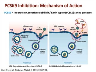 PCSK9 = Proprotein Convertase Subtilisin/ Kexin type 9 (PCSK9) serine protease
 
