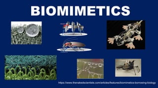 BIOMIMETICS
https://www.thenakedscientists.com/articles/features/biomimetics-borrowing-biology
 