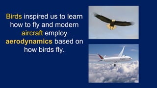 Birds inspired us to learn
how to fly and modern
aircraft employ
aerodynamics based on
how birds fly.
 