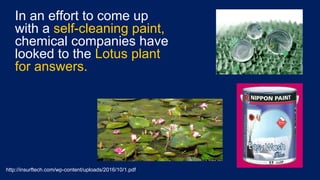 In an effort to come up
with a self-cleaning paint,
chemical companies have
looked to the Lotus plant
for answers.
http://insurftech.com/wp-content/uploads/2016/10/1.pdf
 