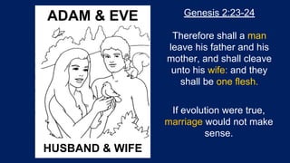 Genesis 2:23-24
Therefore shall a man
leave his father and his
mother, and shall cleave
unto his wife: and they
shall be one flesh.
ADAM & EVE
HUSBAND & WIFE
If evolution were true,
marriage would not make
sense.
 