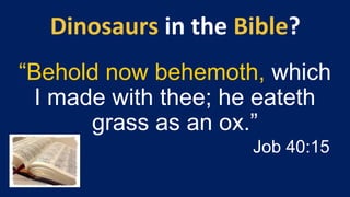 “Behold now behemoth, which
I made with thee; he eateth
grass as an ox.”
Job 40:15
 