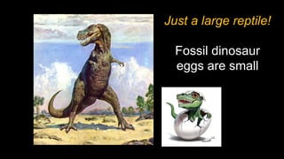 Just a large reptile!
Fossil dinosaur
eggs are small
 