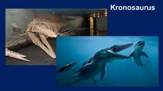 Kronosaurus
 