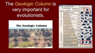 The Geologic Column is
very important for
evolutionists.
 
