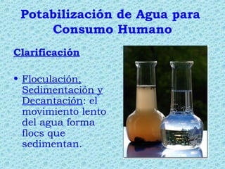 Potabilización de Agua para
Consumo Humano
Clarificación
• Floculación,
Sedimentación y
Decantación: el
movimiento lento
del agua forma
flocs que
sedimentan.
 