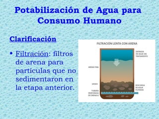 Potabilización de Agua para
Consumo Humano
Clarificación
• Filtración: filtros
de arena para
partículas que no
sedimentaron en
la etapa anterior.
 