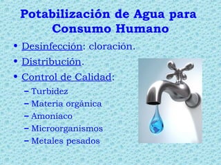 Potabilización de Agua para
Consumo Humano
• Desinfección: cloración.
• Distribución.
• Control de Calidad:
– Turbidez
– Materia orgánica
– Amoníaco
– Microorganismos
– Metales pesados
 