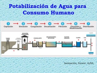 Potabilización de Agua para
Consumo Humano
Animación, fuente: AySA.
 