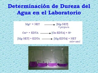 Determinación de Dureza del
Agua en el Laboratorio
 