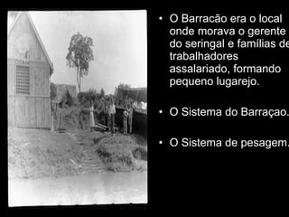 O Barracão era o local onde morava o gerente do seringal e famílias de trabalhadores assalariado, formando pequeno lugarejo.  O Sistema do Barraçao. O Sistema de pesagem. 