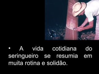 A vida cotidiana do seringueiro se resumia em muita rotina e solidão. 