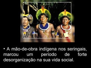 A mão-de-obra indígena nos seringais, marcou um período de forte desorganização na sua vida social. 
