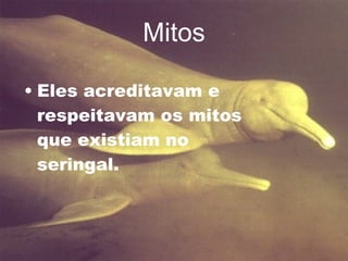 Mitos Eles acreditavam e respeitavam os mitos que existiam no seringal. 
