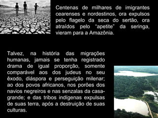 Centenas de milhares de imigrantes cearenses e nordestinos, ora expulsos pelo flagelo da seca do sertão, ora atraídos pelo “apetite” da seringa, vieram para a Amazônia. Talvez, na história das migrações humanas, jamais se tenha registrado drama de igual proporção, somente comparável aos dos judeus no seu êxodo, diáspora e perseguição milenar; ao dos povos africanos, nos porões dos navios negreiros e nas senzalas da casa-grande; e das tribos indígenas expulsas de suas terra, após a destruição de suas culturas. 