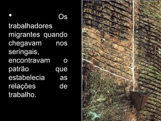 Os trabalhadores migrantes quando chegavam nos seringais, encontravam o patrão que estabelecia as relações de trabalho. 