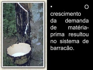 O crescimento da demanda de matéria-prima resultou no sistema de barracão. 