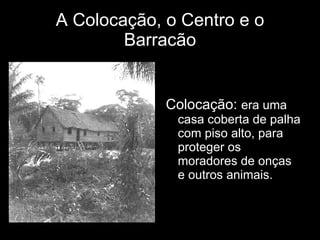 A Colocação, o Centro e o Barracão Colocação:  era uma casa coberta de palha com piso alto, para proteger os moradores de onças e outros animais. 