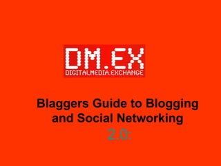 Blaggers Guide to Blogging and Social Networking   2.0: 
