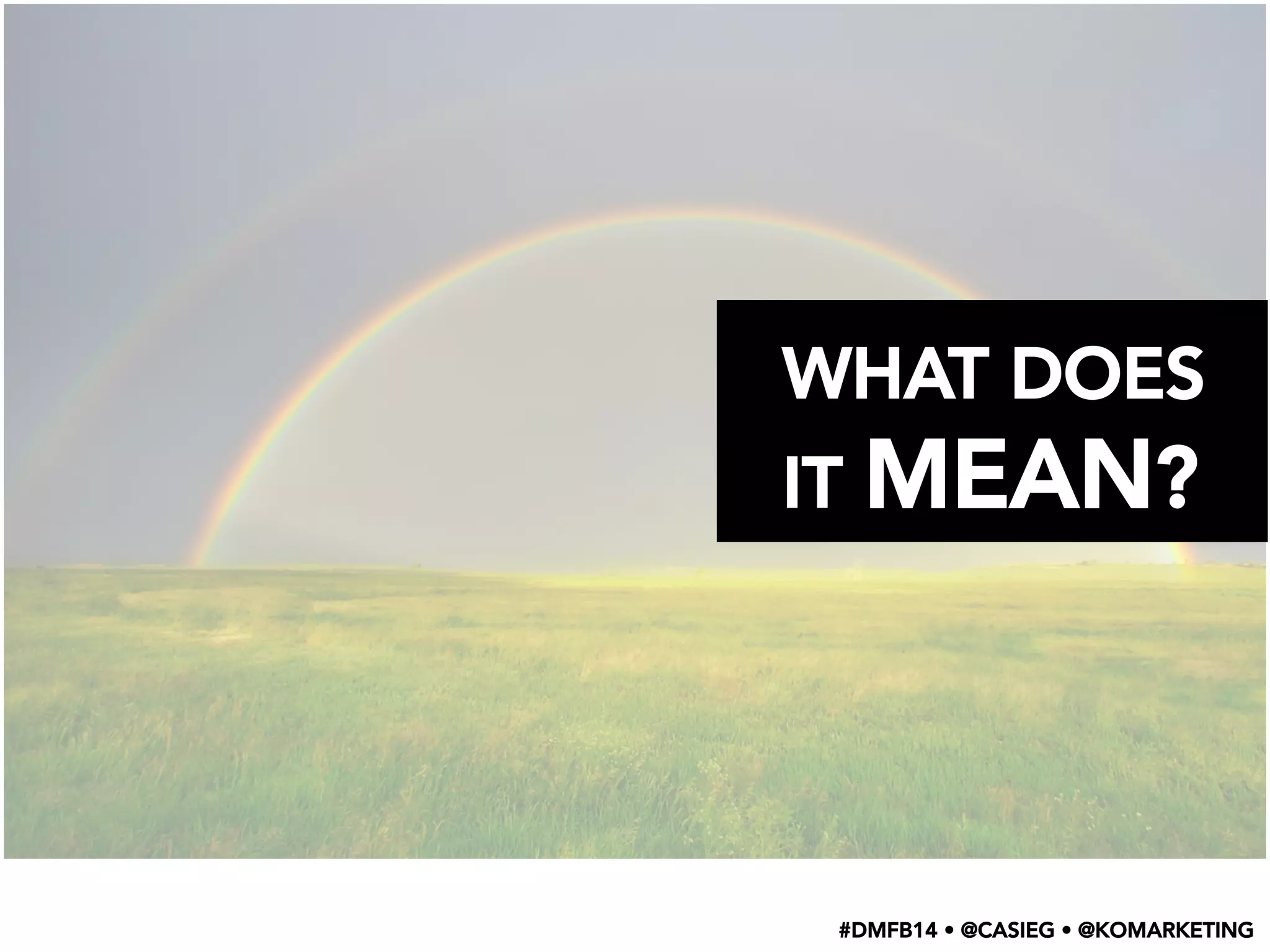 WHAT DOES
IT MEAN?
#DMFB14 • @CASIEG • @KOMARKETING
 