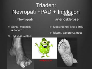 Triaden:
Nevropati +PAD + Infeksjon
Nevropati
Sens., motorisk,
autonom
Trykksår –callus,
nekrose
Perifer
arteriosklerose
M...