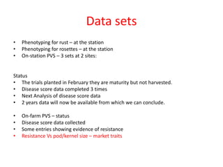 Data sets
•   Phenotyping for rust – at the station
•   Phenotyping for rosettes – at the station
•   On-station PVS – 3 sets at 2 sites:


Status
• The trials planted in February they are maturity but not harvested.
• Disease score data completed 3 times
• Next Analysis of disease score data
• 2 years data will now be available from which we can conclude.

•   On-farm PVS – status
•   Disease score data collected
•   Some entries showing evidence of resistance
•   Resistance Vs pod/kernel size – market traits
 