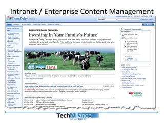 Intranet / Enterprise Content Management
 